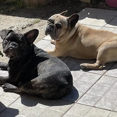 La Vignalie Bed & Breakfast Orban