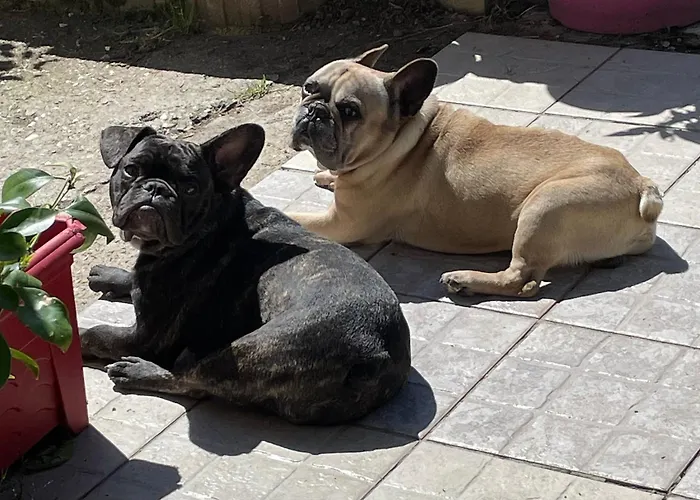 La Vignalié Couette-café Orban